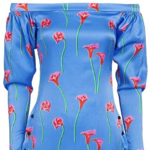 Caroline Constas Pre-fall NY 2019 Collection Dania Lilly Dress in Blue XS $598 - Picture 7 of 12